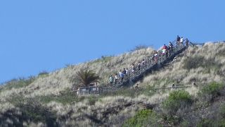 いい運動になります