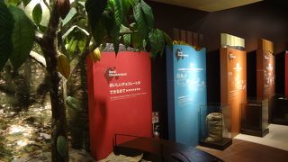 チョコレートのあれこれが見られます