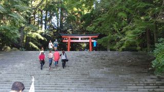 レンタカ−で行きました。