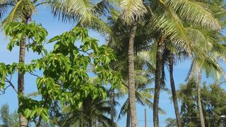 エメラルドグリーンの海