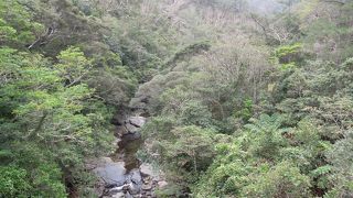 ちょうどいい運動です