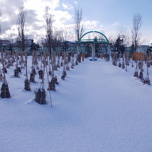 ショップ前に続く散策道の様子（冬季は除雪されません）