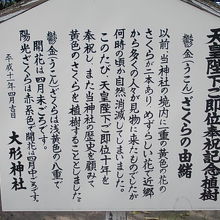 詳細な説明はこちらをご参照下さい