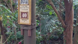 思い出の一枚はここで