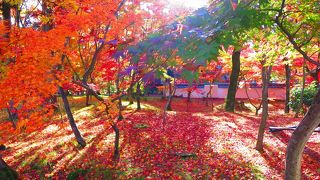 秋の寺宝展の拝観料