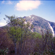 白山がきれいに見えました