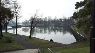 水元公園