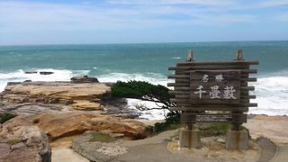 太平洋の雄大さを感じる事が出来る