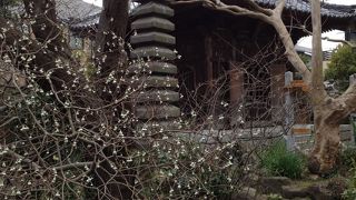 北条氏の屋敷があったされる場所