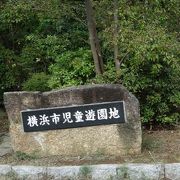 広い公園