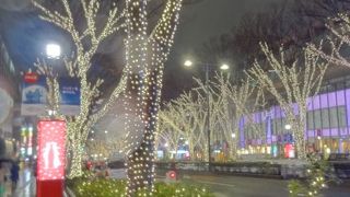 落ち着いた雰囲気のイルミネーション