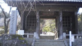 ヒカリゴケが有名