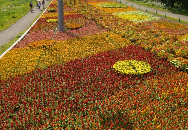 夏はダイナランドゆり園