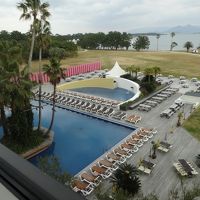 お部屋から見た中庭（？というのかな）