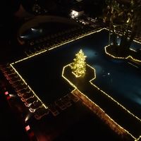 クリスマスツリーのライトアップ。