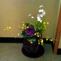 廊下に飾られていた花