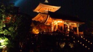 ライトアップともみじ☆