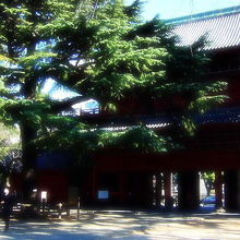 境内から見た　三解脱門 （三門）