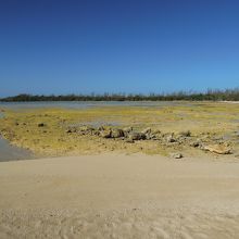 クロワッサン型の内側。