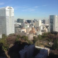 スカイツリー見えました