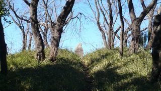 こんなところに古墳が・・・・