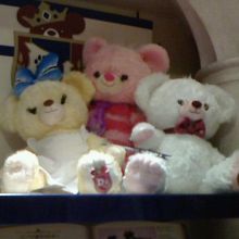 新しいユニベアシティー