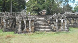 ゾウがいっぱい