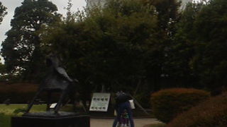 ちょっとしたオアシス？