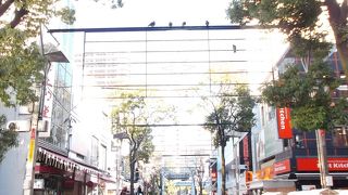 イセブラいかが・・