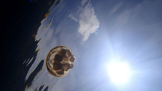 親切なガイドさんでとても楽しかった！