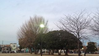 芝生が自慢な公園です。