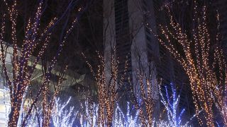 年間を通してたくさんのイベントが行われます