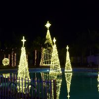 敷地内のイルミネーション☆