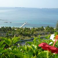 ベランダからの景色