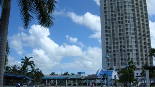 親子連れに最適