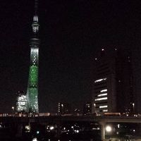 部屋の窓からスカイツリーが見えます