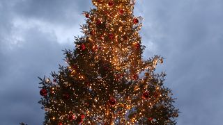 屋外ツリーとクリスマスマーケット