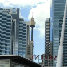 目印のシドニー・タワー 