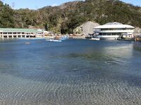 下田海中水族館