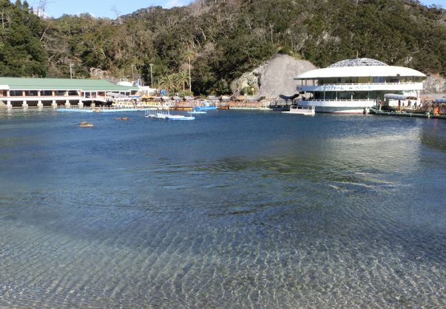 下田海中水族館