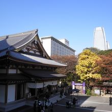 徳川家康の法名からその名をとりました