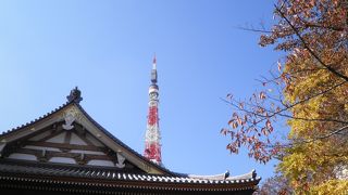 東京タワーとともに写真に写ります