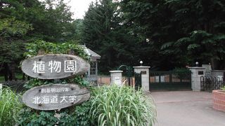 夏、入園は午後4時迄です。記念の〒風景印は植物園前郵便局へ