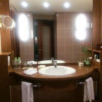 メインの洗面、この左側にトイレとシャワー、右側にバスタブ