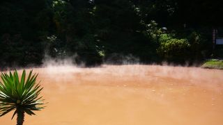 見たことない池