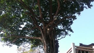 日本とはゆかりの深い武道館