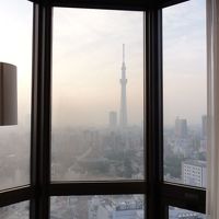 部屋からもスカイツリー