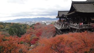 清水寺の紅葉