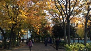 都会のオアシス