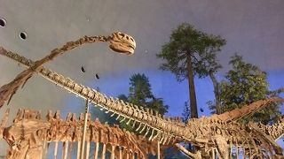 昔々、フクイラプトルとフクイサウルスが